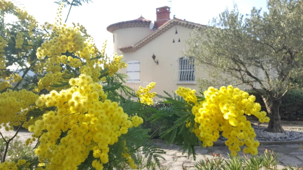 Le Relais Fleuri Hotel Ales Luaran gambar