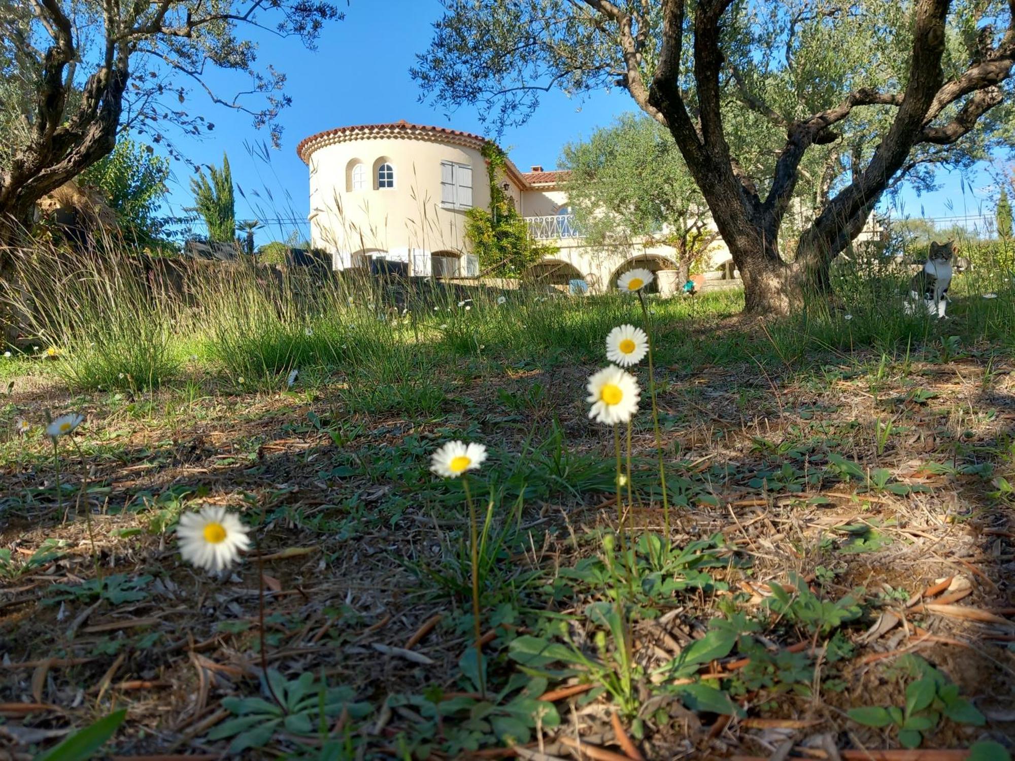 Le Relais Fleuri Hotel Ales Luaran gambar